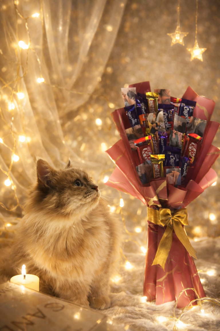 35ad9a0c-2f96-44f3-aacb-d9e4d4289567